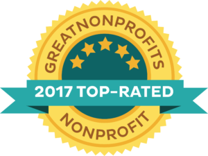 2017 top-rated nonprofit